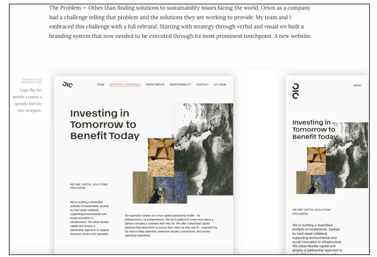 How to create the best UI design portfolio: 10 tips and best practices 3 Screenshot of a project brief case study