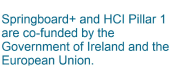 Springboard+ and HCI Pillar 1 are co-funded by the Government of Ireland and the European Union